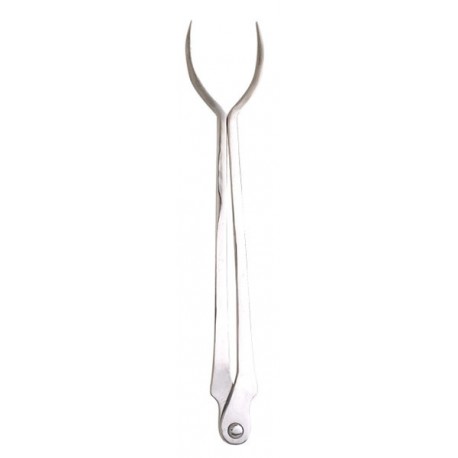 Tenaza GP Herrar Forja Inox